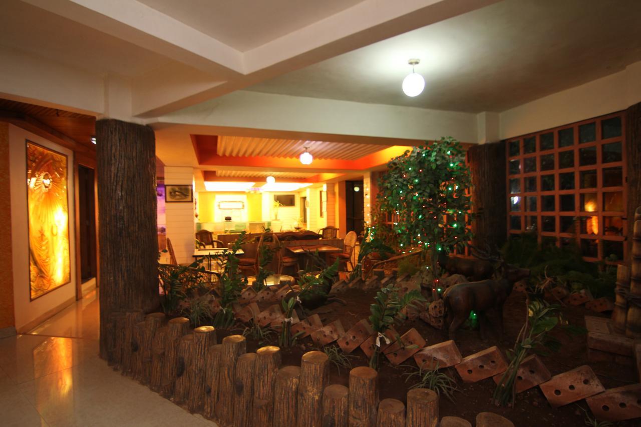 Mount View Executive Hotel พันช์กานี ภายนอก รูปภาพ
